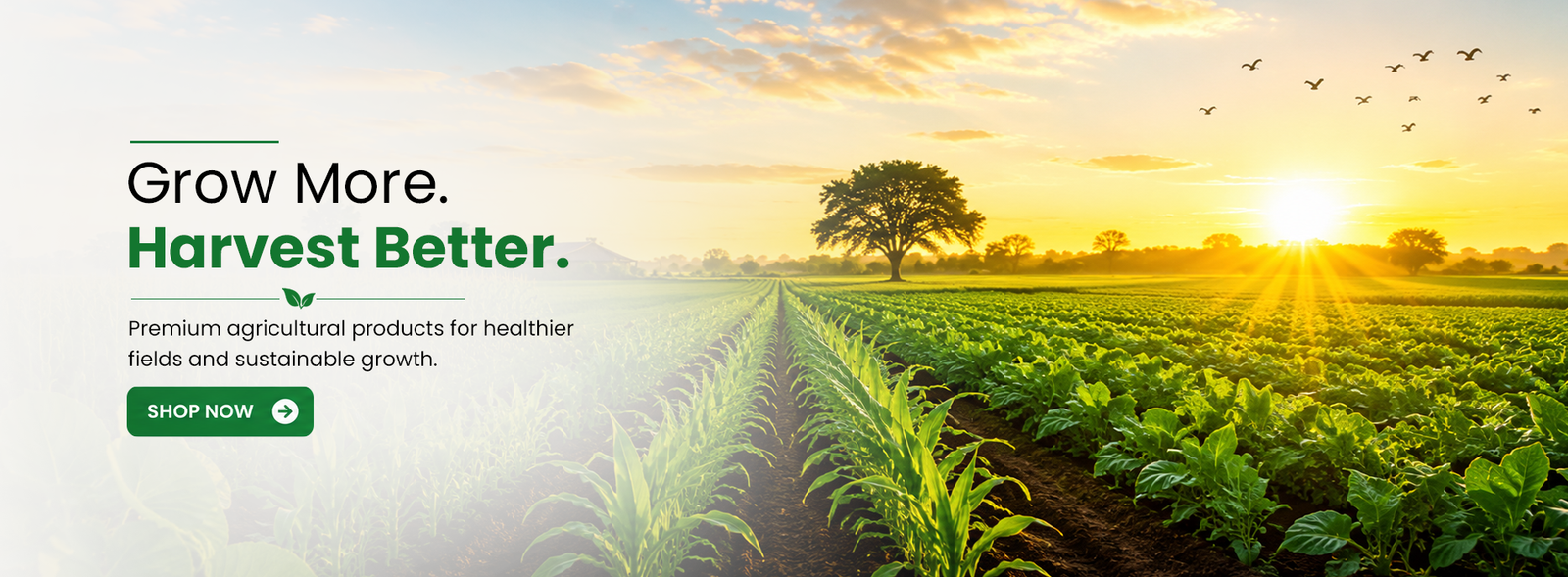 agro hero banner 2
