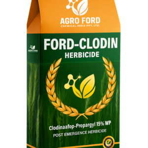FOARD-CLODIN