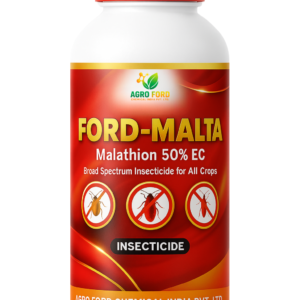 FOARD-MALTA