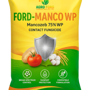 FOARD-MANCO WP