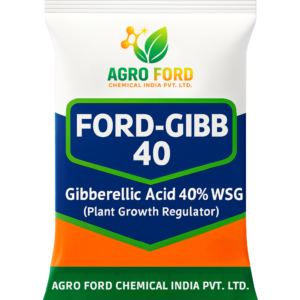 FORD-GIBB 40