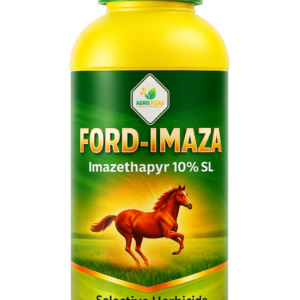 FORD-IMIZA