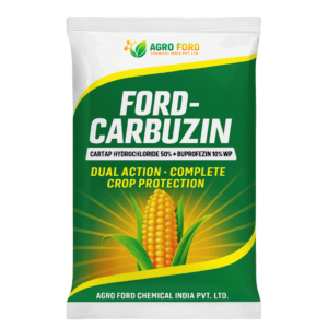 Ford-Carbuzin