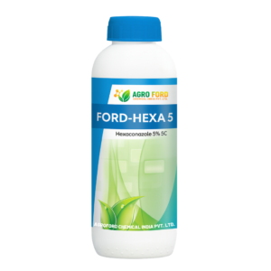Ford-Hexa 5