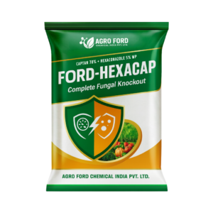 Ford-Hexacap