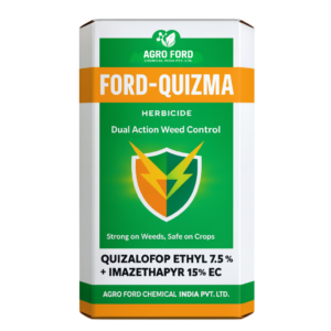 Ford-Quizma