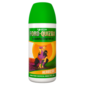 Ford-Quizox