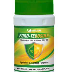 Ford-Tebusulf