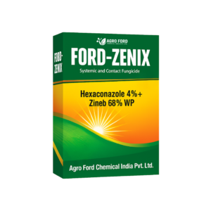 Ford-Zenix